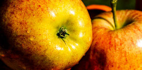 手机号轰炸平台